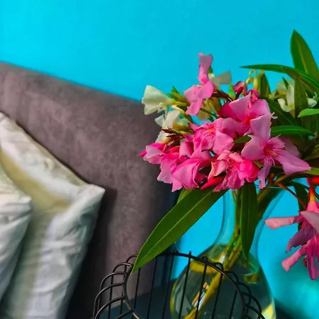 Sardinia Paradise Apartment