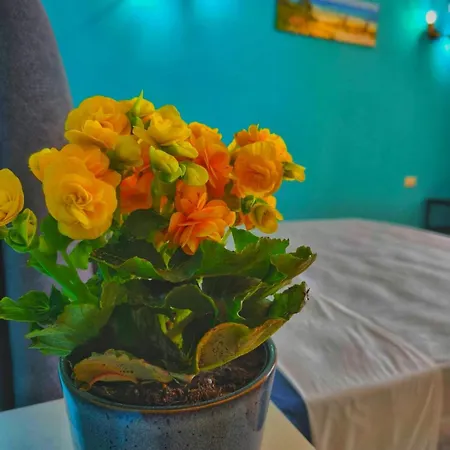Apartment Sardinia Paradise *